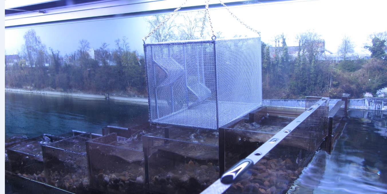 fischtreppe in betrieb 2